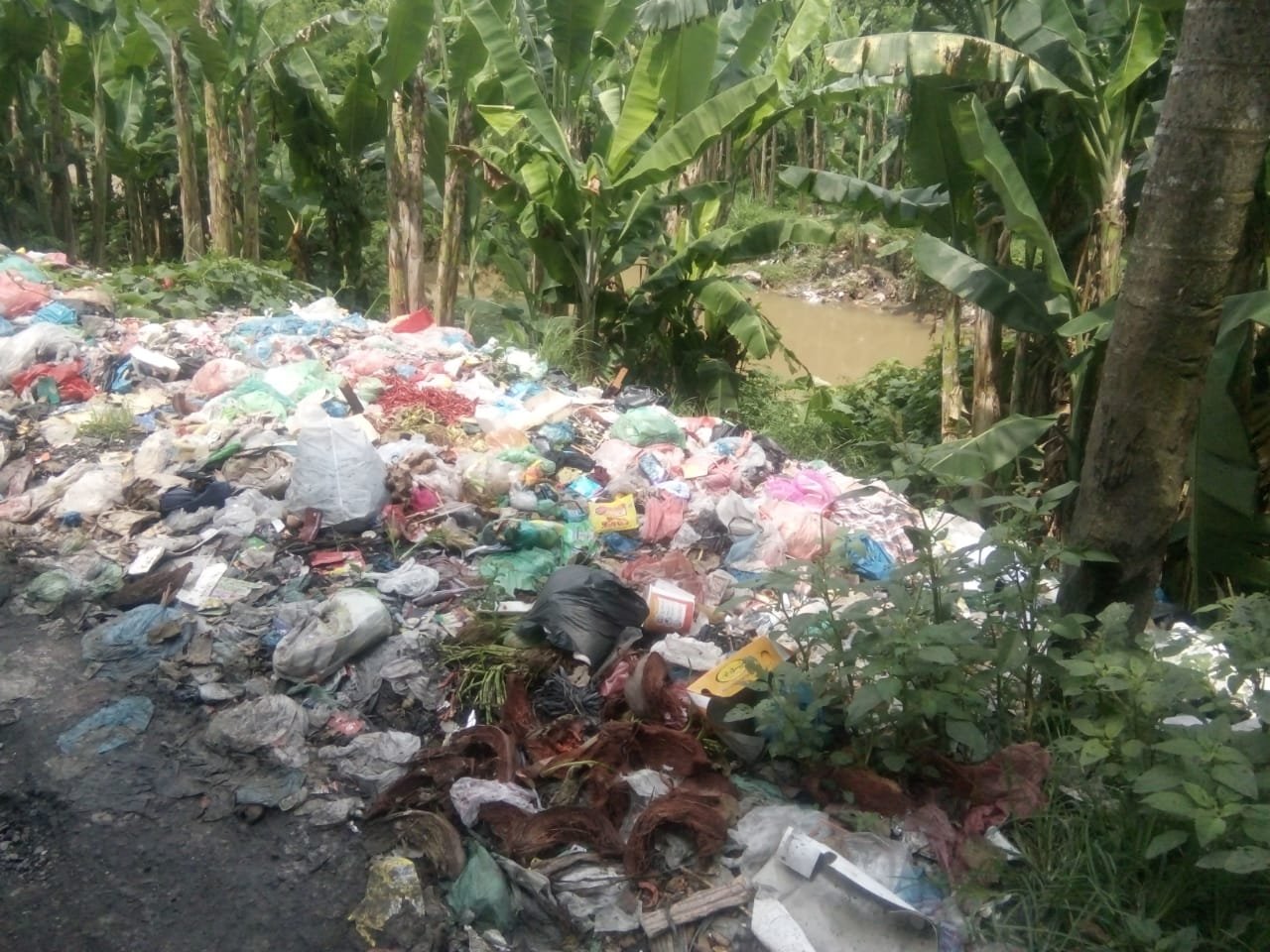 Terjadi Penumpukan Sampah, Kasi Kebersihan Kec. Percut Sei Tuan Diduga Enggan Sebutkan Honor BHL Pekerja