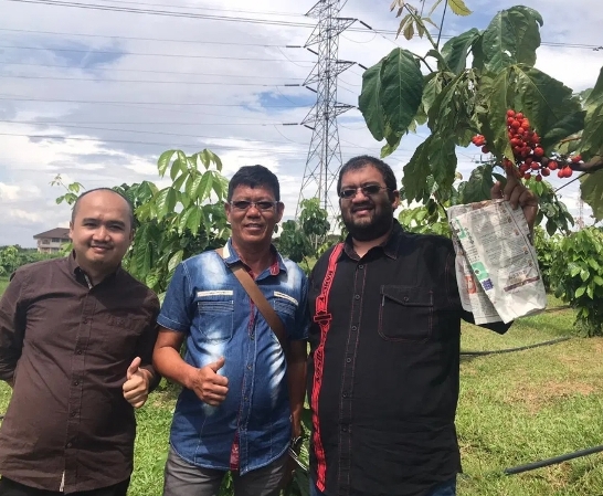 El Kananda Shah SE: Tanaman Guarana Akan Berkembang Di Indonesia