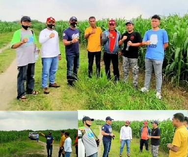 Mencari Potensi Bawang Merah, Ketua Karang Taruna Sumut Kunker ke Desa Sampali