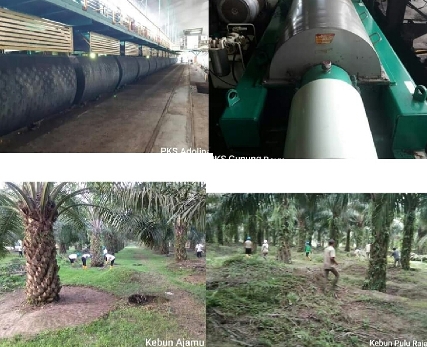 Awards PTPN IV, Gerakan Cinta Kebun dan Pabrik