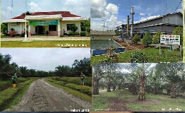 PTPN IV Kembali Berikan Awards, Gerakan Cinta Kebun dan Pabrik