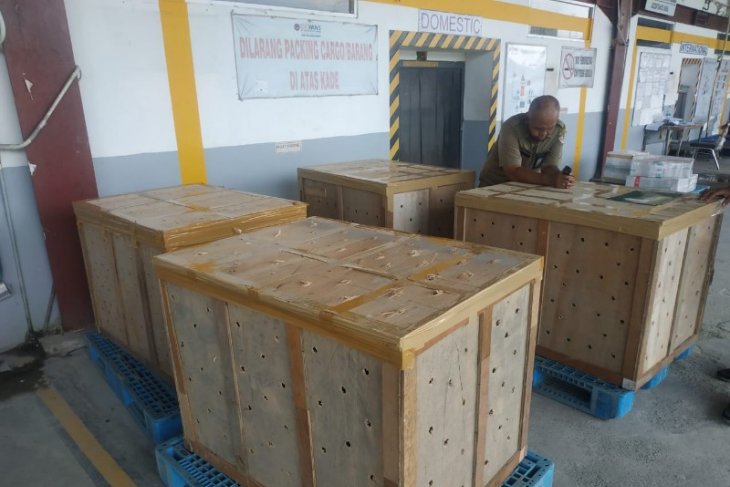BBKSDA Sumut Lepas Liarkan Ribuan Prenjak dan Gelatik Batu di Sibolangit
