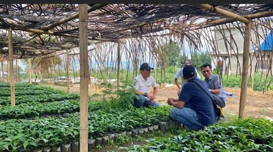 Pandemi Covid 19, Program Karang Taruna Bidang Pertanian Tetap Berjalan