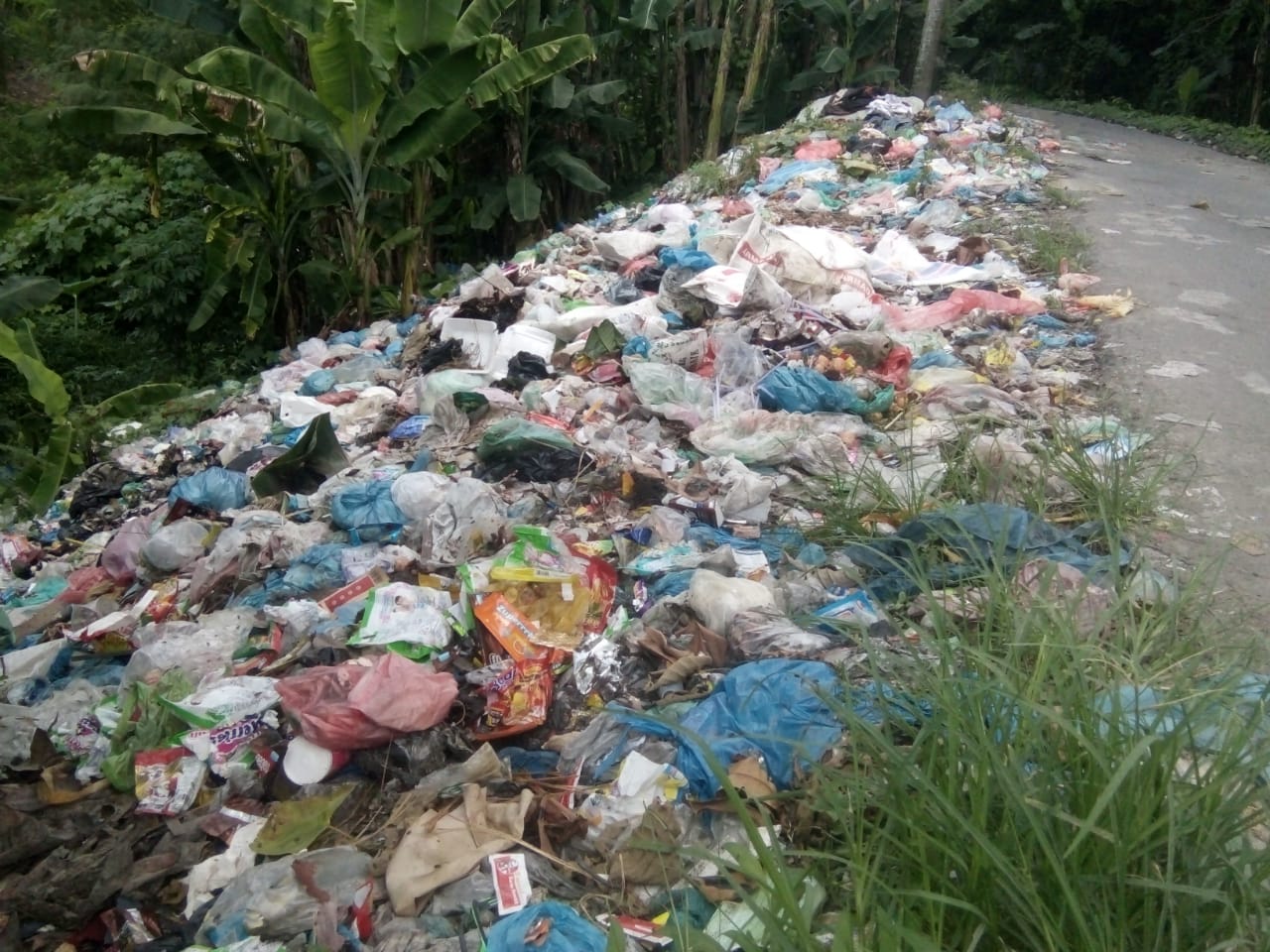 Desa Medan Estate dan Bandar Khalipah Disinyalir Jadi Lumbung Sampah, DPD GPRI SU : Copot Kasi Kebersihan