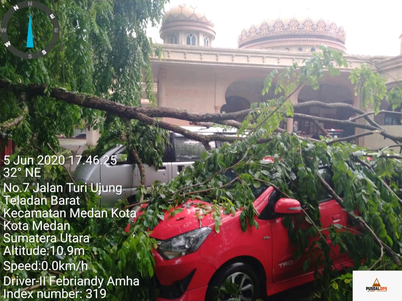 Akibat Hujan Lebat dan Angin Kencang di Kota Medan 2 Unit Mobil Ringsek Ditimpa Pohon Tumbang