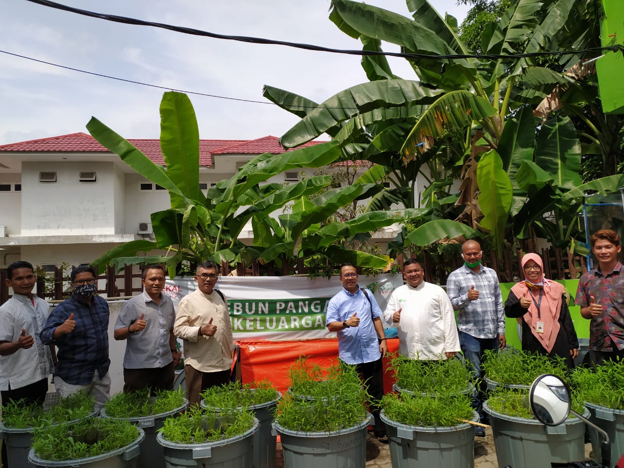 Produktif dari Rumah,Program Kebun Pangan DD Waspada Semakin Diminati Semua Kalangan Masyarakat
