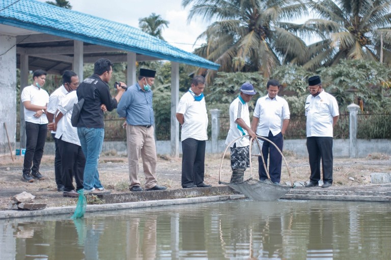 Irsan Efendi Nasution Tinjau UPTD Perbenihan Ikan Paya Sordang