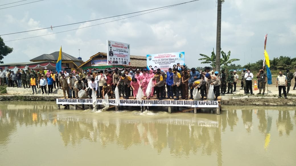 Ketahanan Pangan Covid-19, Kapoldasu Tabur 10 Ribu Bibit Ikan di Desa Air Hitam