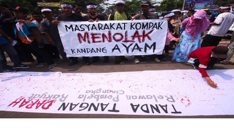 Akibat Bau Kotoran Ternak Ayam, Â Warga Desa Sidodadi Minta DitutupÂ 