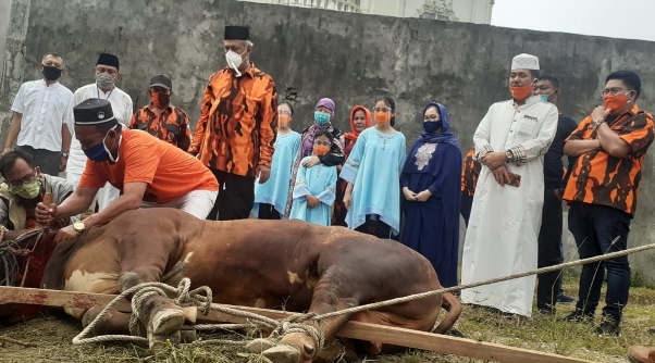 Hari Idul Adha  Sembelih 7 Sapi dan PP Sumut 13 Sapi, Kodrat Shah : Indahnya Berbagi Tingkatkan Ketaqwaan