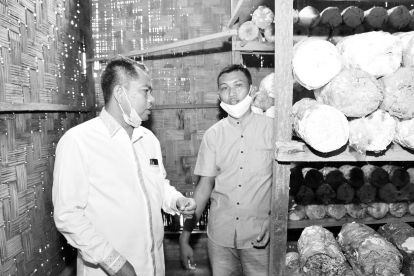 Wabup Sergai Apresiasi Kelompok Tani JATIRAMDO, Berhasil Kembangkan Budidaya Jamur Tiram