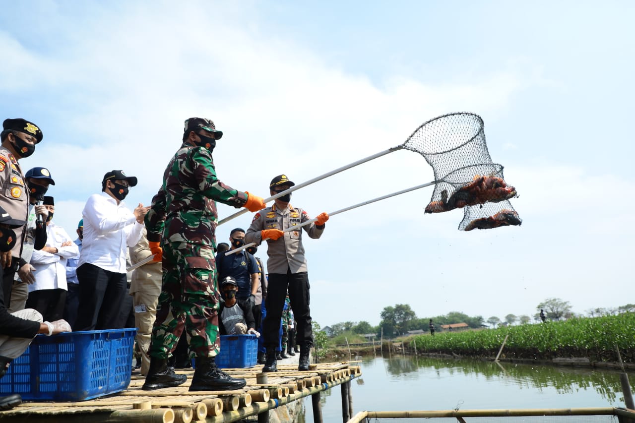 Kapolri Bersama Panglima TNI Panen Raya dan Luncurkan Kampung Tangguh Nusantara