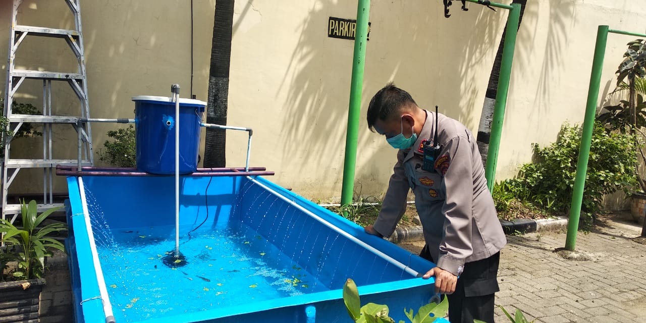 Dukung Ketahan Pangan,Â  Polsek Medan Budidaya Ikan Konsumsi