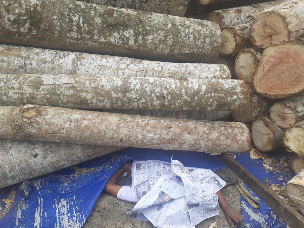 Truk Bermuatan Kayu Terguling di Labuhan Deli, Pengemudi Tewas Di Tempat.