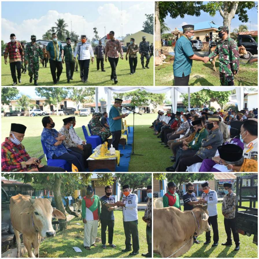 Disdik Batu Bara Sembelih 15 Ekor Hewan Qurban
