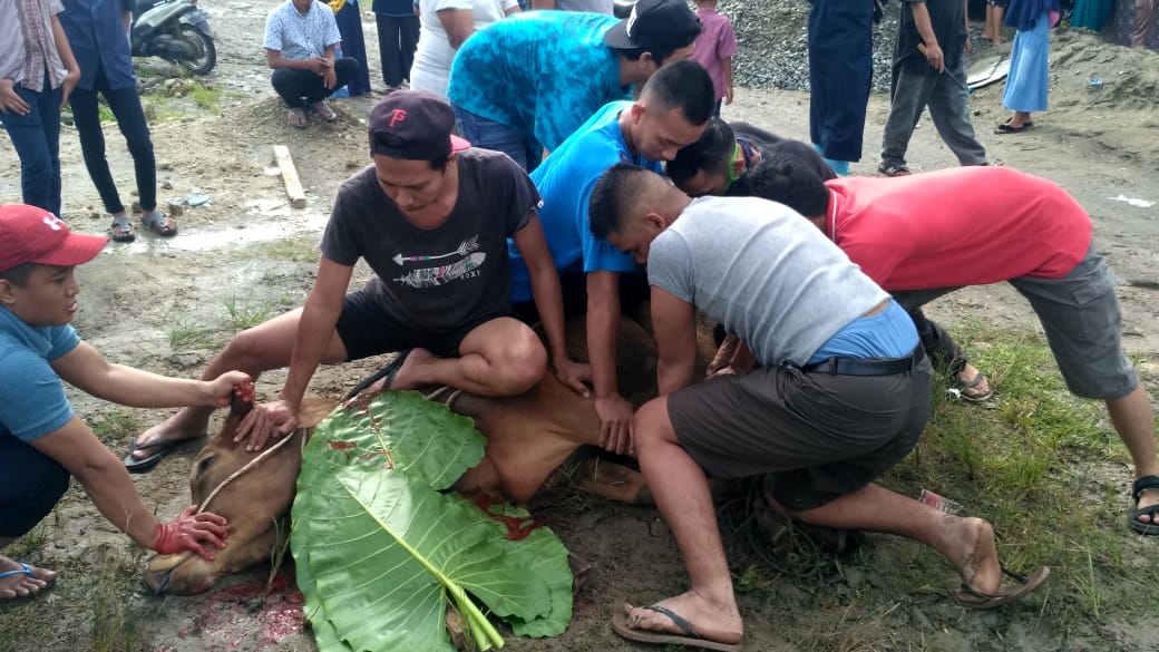 Warga Villa Patumbak Permai Sembelih Lima Ekor Hewan Kurban