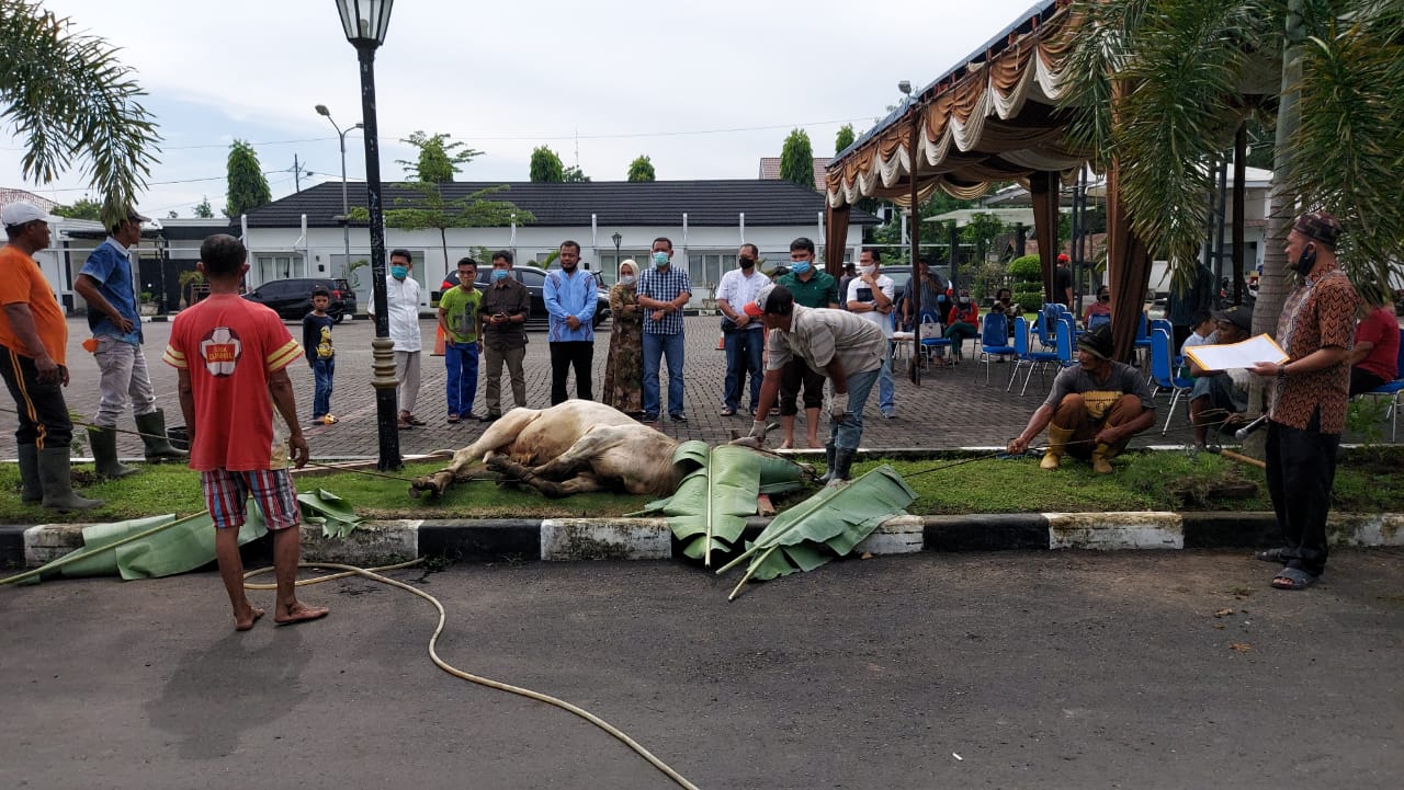 Perayaan Idul Adha, Kejati Sumut Sembelih 10 Sapi dan 7 Kambing