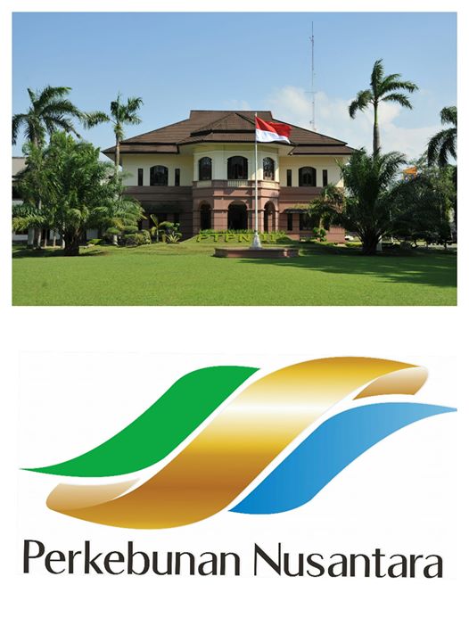 PTPN III Operasional Medan Mencatatkan Kinerja Terbaik Selama 3 Tahun Berturut-turut