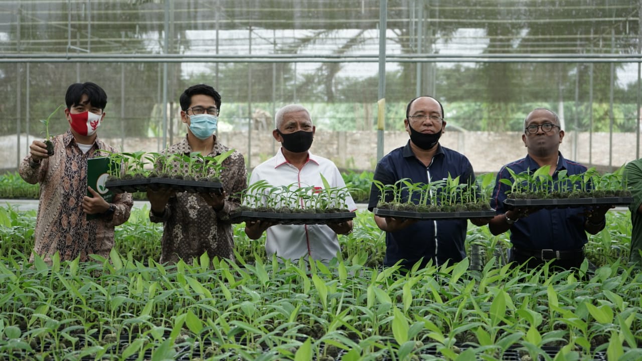 Bupati Asahan Tinjau Pengembangbiakan Pisang di Sei Renggas