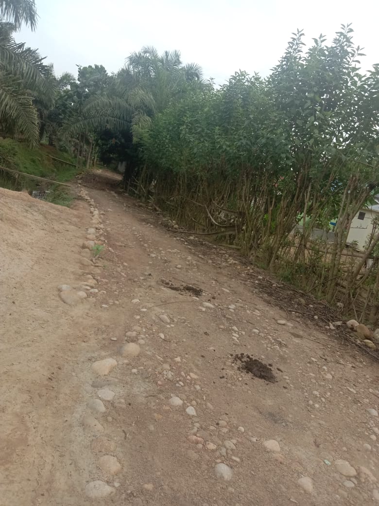 Pengerasan Jalan DD Desa Tanjung Beringin Mangkrak