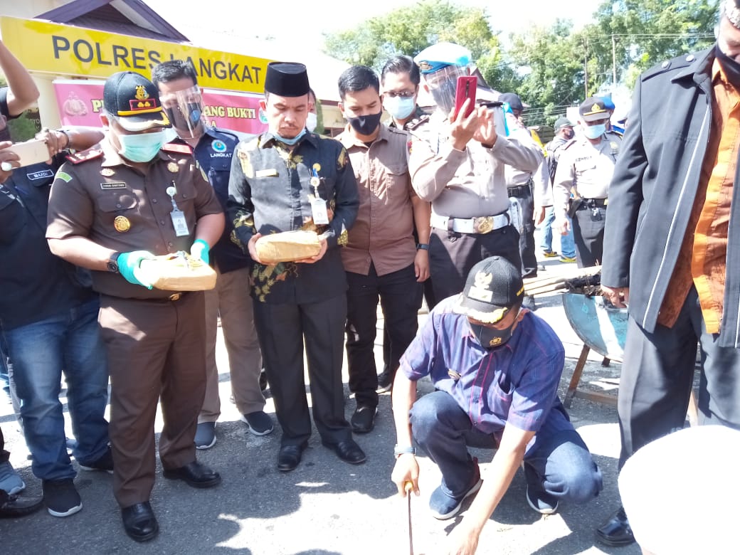 Polres Langkat Bersama Unsur Forkopimda  Bakar 80 Kg Ganja