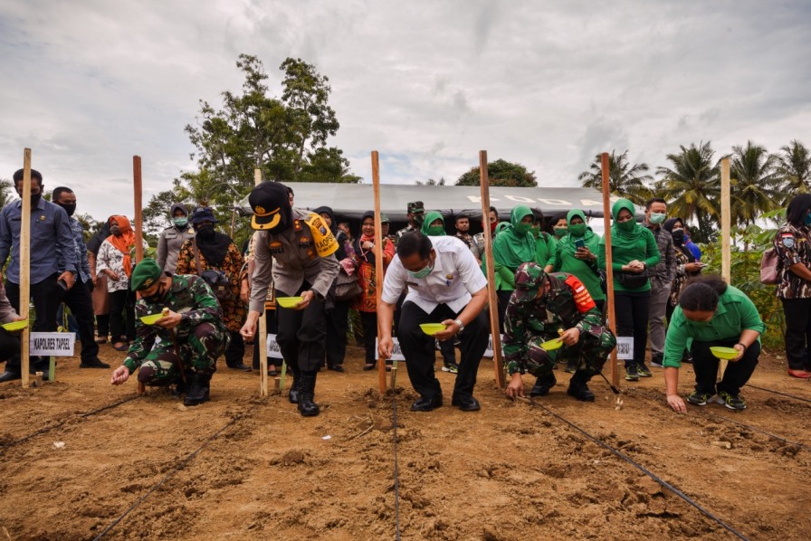 Kodim 0212/TS Tanam Jagung 1 Hektare, Walikota Irsan Efendi Nasution Apresiasi