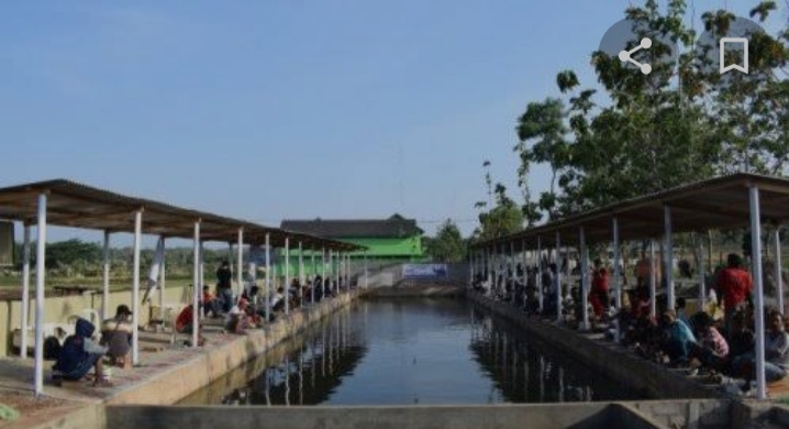 Kolam Pancing Leembat Jaya Kembali Gelar Perlombaan