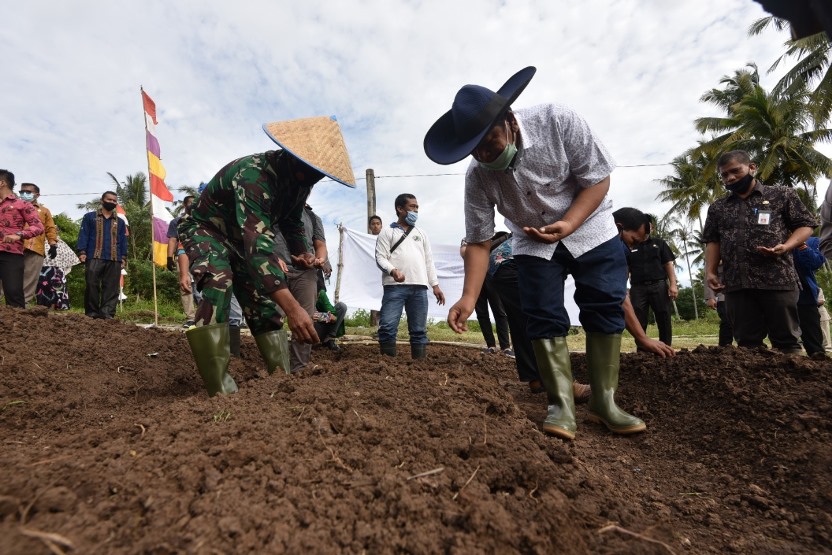 Irsan Efendi Nasution Hadiri acara ketahanan pangan