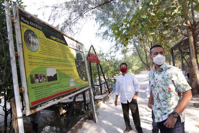 Wagub Sumut Ajak Masyarakat Lestarikan Mangrove