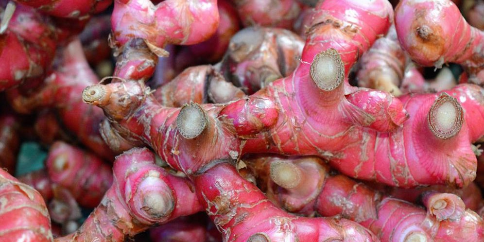 Manfaat Jahe Merah Redakan Gangguan Lambung