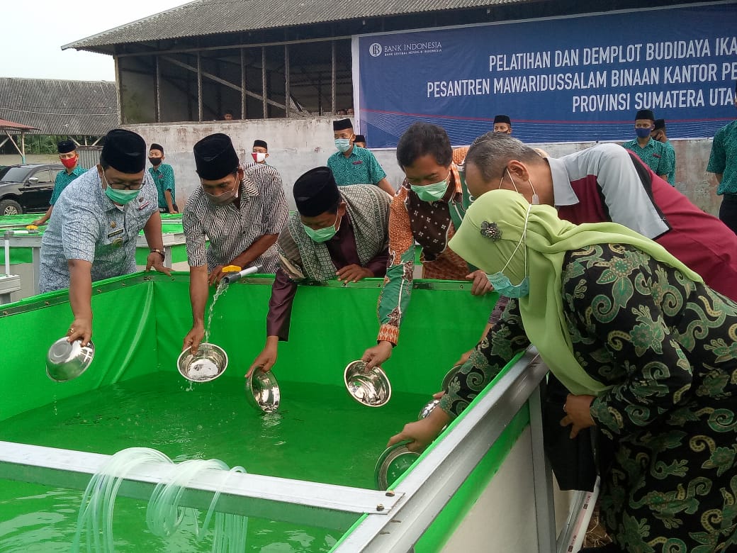 Bank Indonesia Tabur Benih  Ikan Lele  di Pesantren Mawaridussalam Deli Serdang