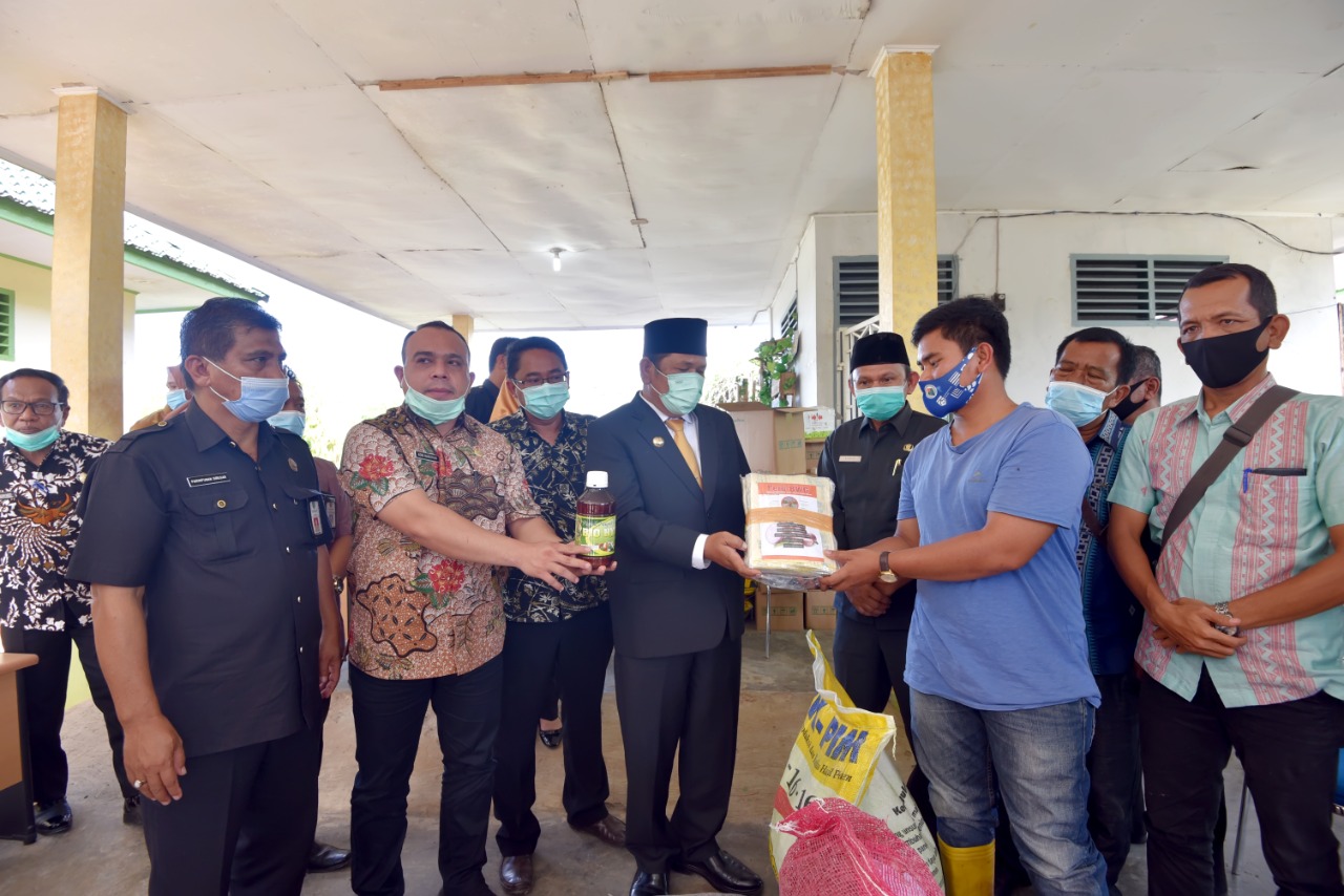 Walikota Irsan Nasution Serahkan Bantuan 10 Ton Bibit Bawang Merah