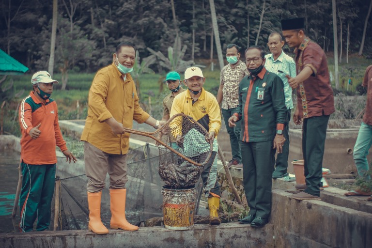 Walikota Â Irsan Efendi Nasution bersama OPD Panen ikan lele di Desa Simatohir