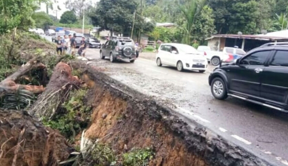 Lintas Medan-Betastagi Dua unit mobil tertimpa pohon