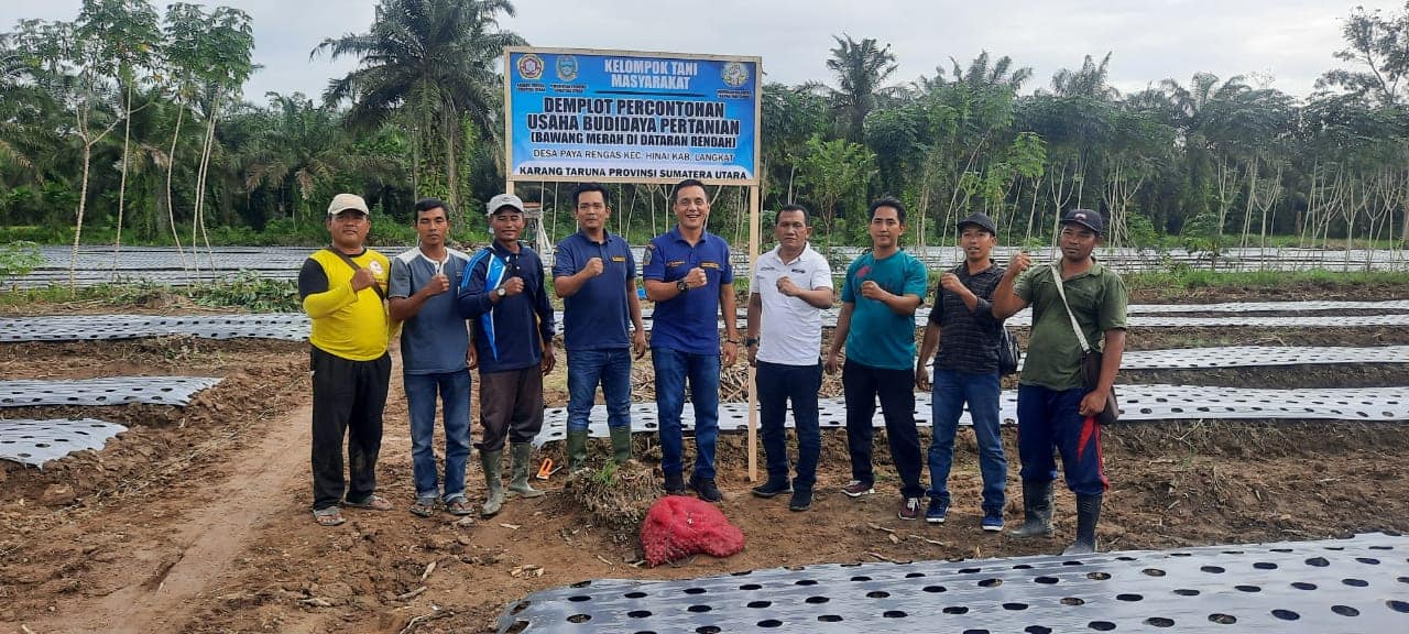 Bantu Program Pemerintah, Karang Taruna Sumut Tanam Perdana Bawang Merah di Langkat