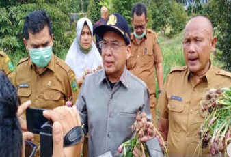 Pj Bupati Madina Dahler : Madina Bisa Jadi Sentra Bawang Merah