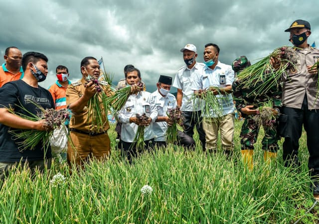 Kekurangan Produksi Bawang dan Cabai Merah Walikota Irsan Langsung Respon