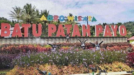 Pemko Solok Terus Kembangkan Agrowisata Payo dan Bunga Krisan