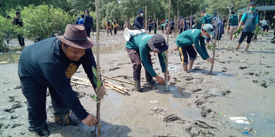 Cegah Abrasi, Dompet Dhuafa Volunteer Lakukan Aksi Tanam 1.000 Pohon