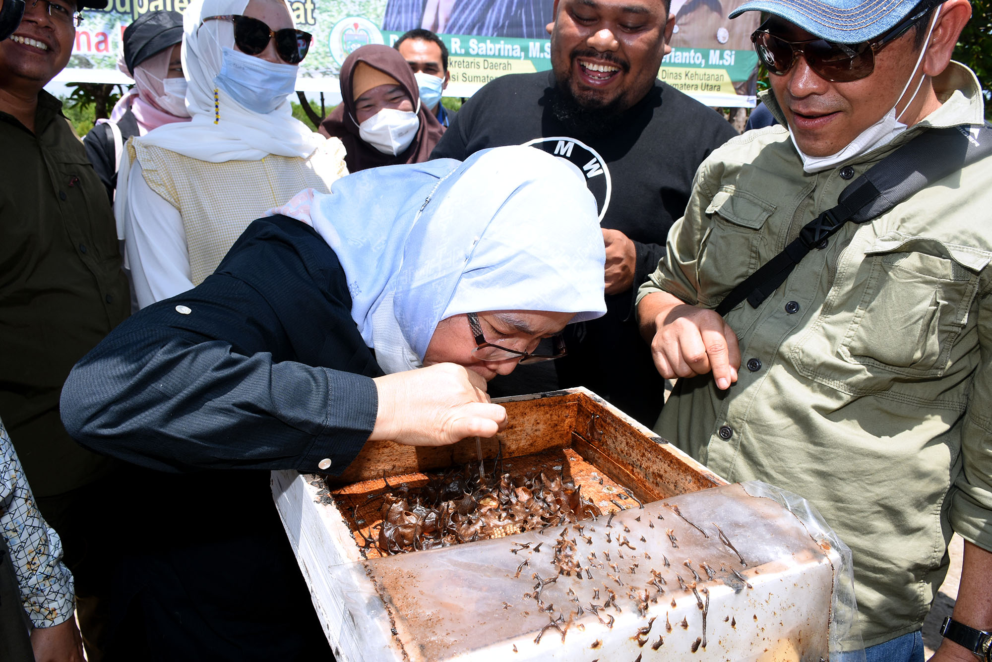 Sekdaprovsu : Kembalikan Fungsi Hutan dan  Kembangkan Perekonomian Masyarakat