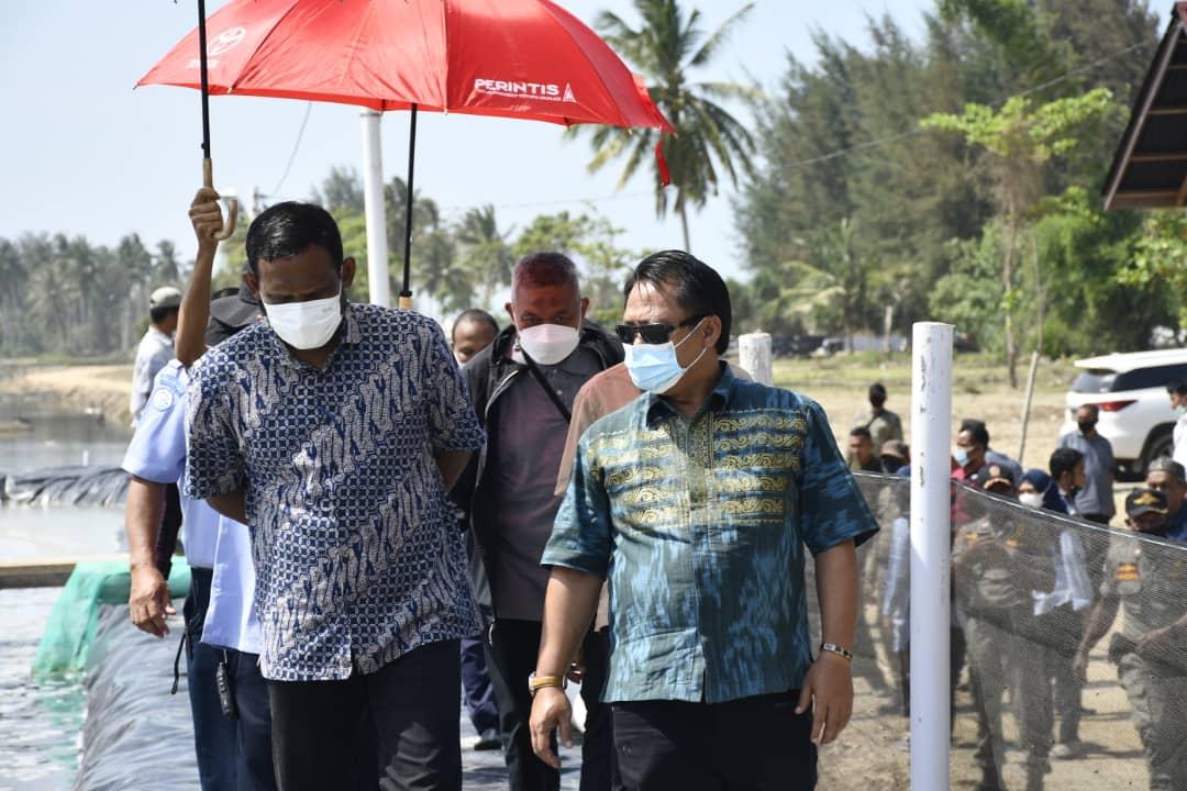 KKP Turunkan Tim Surve untuk Shirmp Estate di Aceh Timur