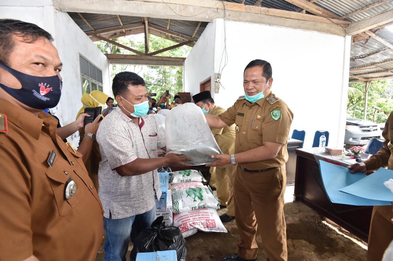 Kesembuhan COVID-19 di Kota Padangsidimpuan Capai 95 persen