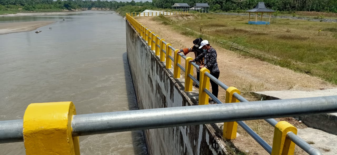 Ikan Bermabukan di Perairan Sungai Wampu Kadis LH Berikan Penjelasan