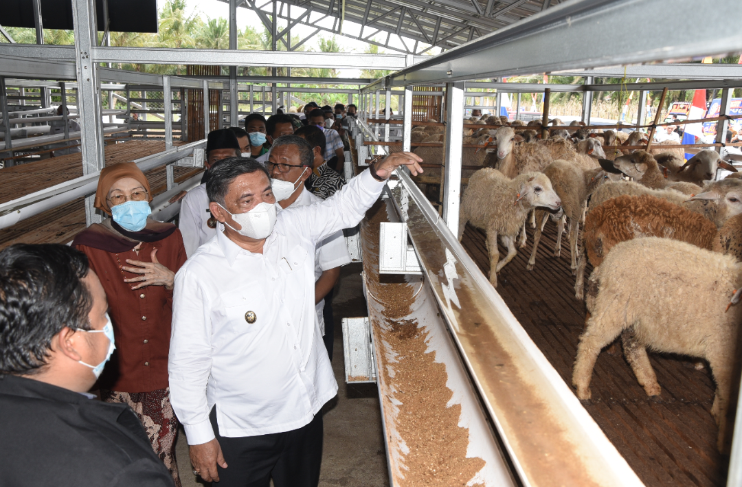 HM Ali Yusuf Siregar Resmikan Sentra Ternak Dompet Dhuafa Di Hamparan Perak