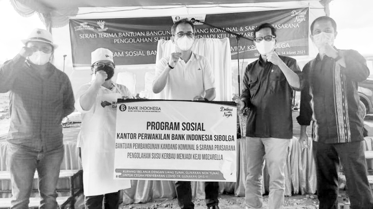 Bank Indonesia Bantu Taput Kembangkan Keju Mozarella