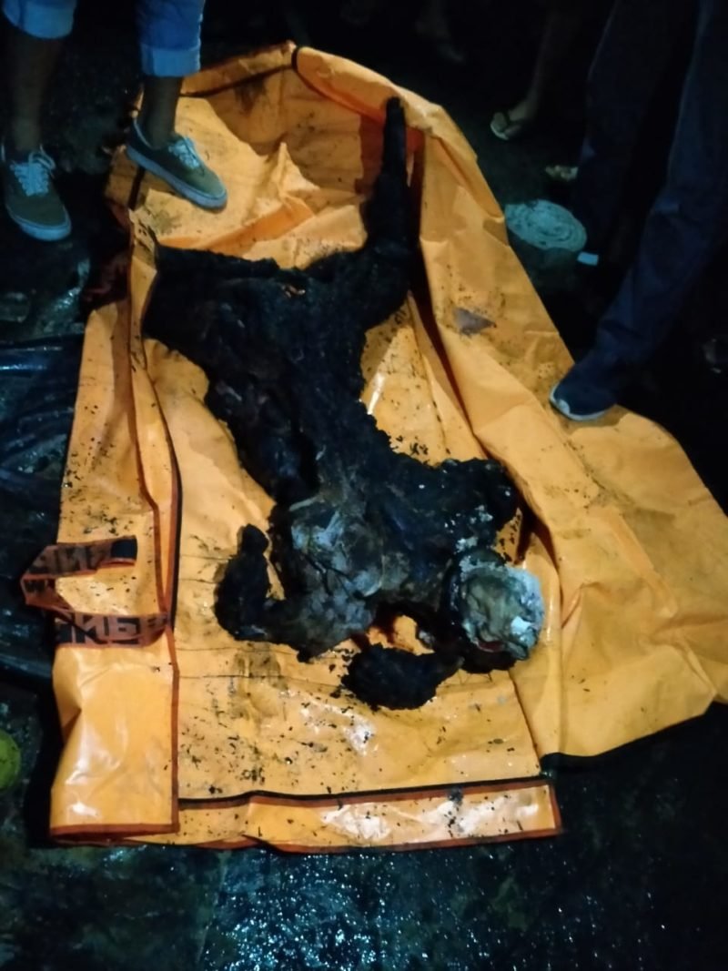 Dua Unit Rumah Kontrakan di Kel Teladan Timur Terbakar, Seorang Penghuni Meninggal Dunia