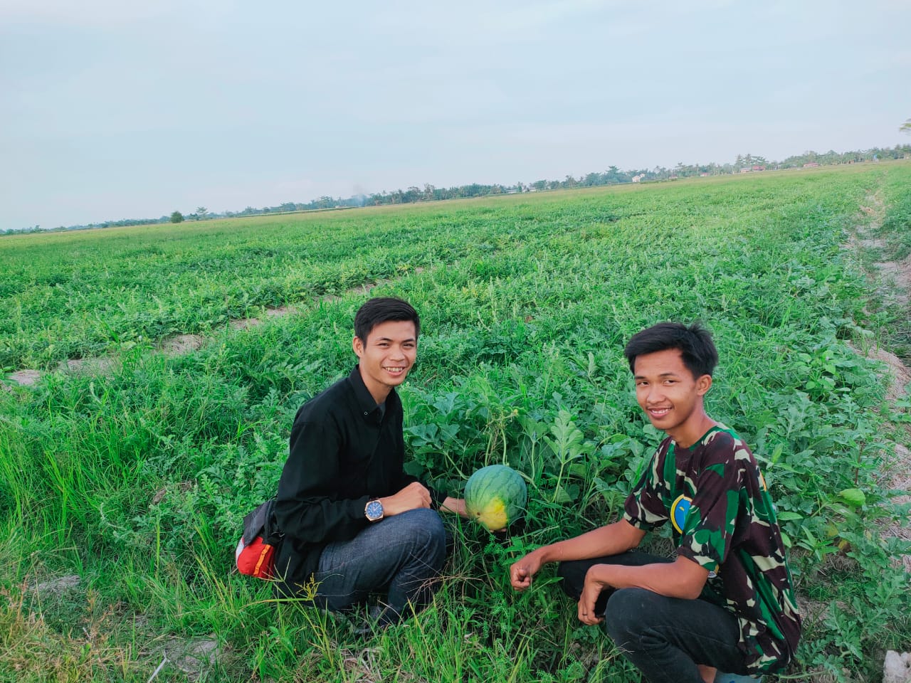 M Arif Akan Dongkrak Generasi Muda Kreatif Dan Peduli Pertanian