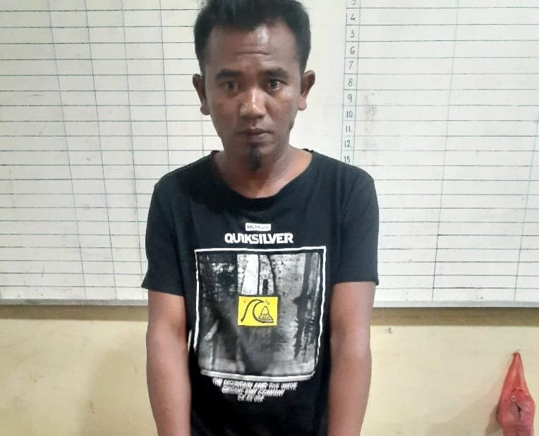 Bawa Ganja, Warga Desa Rumah Berastagi Diciduk Satresnarkoba Polres Tanah Karo