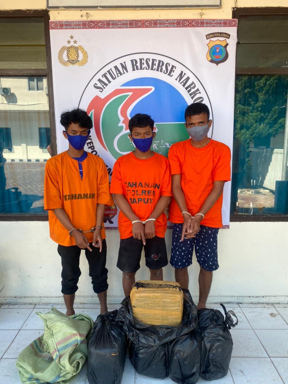 Polres Taput Ringkus 3 Warga Percut Selundupkan 30 Kg Ganja