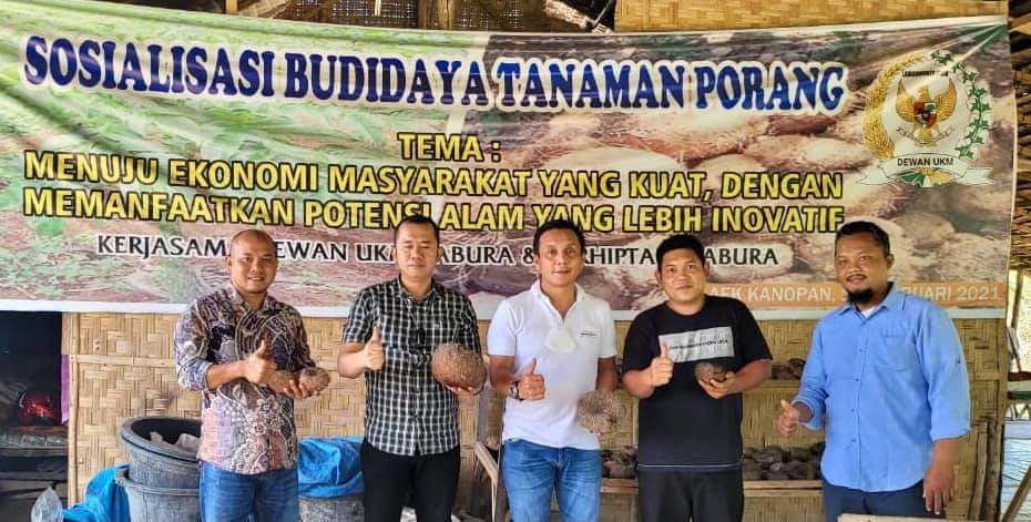 Ketua KT Sumut Dedi Kunker ke Paluta Tinjau Budidaya Porang